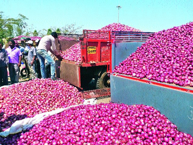 Farmers worried over falling onion prices | कांदा दर घसरणीने शेतकरी हवालदिल