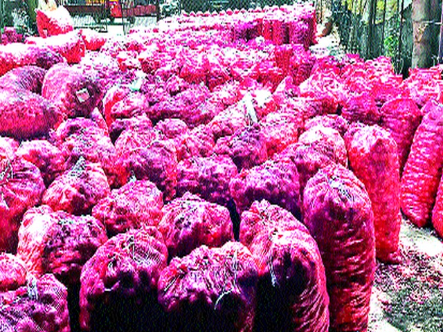 Lasalgavi summer onion prices drop | लासलगावी उन्हाळ कांदा दरात घसरण