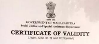 There is no deadline for caste verification | जात पडताळणीसाठी मुदतवाढ नाही