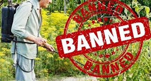 Sale of expired pesticides in Navapur | नवापुरात मुदत संपलेल्या कीटक नाशकांची विक्री