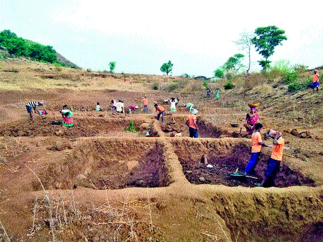 Work done by 5,000 laborers in Peth taluka | पेठ तालुक्यात ५ हजार मजुरांच्या हातांना काम