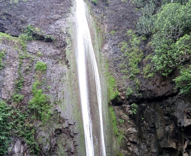  The crowd of tourists to see the Manudevi waterfalls in Satpura | सातपुड्यातील मनुदेवी धबधबा पाहण्यासाठी पर्यटकांची गर्दी