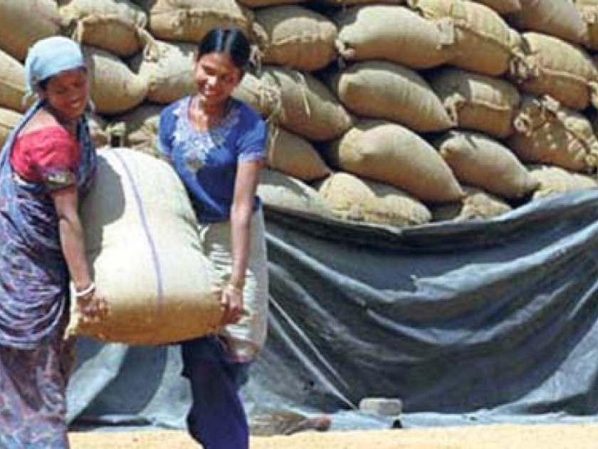 Purchase of one lakh quintals of paddy through Tribal Corporation | आदिवासी महामंडळामार्फत एक लाख क्विंटल भाताची खरेदी