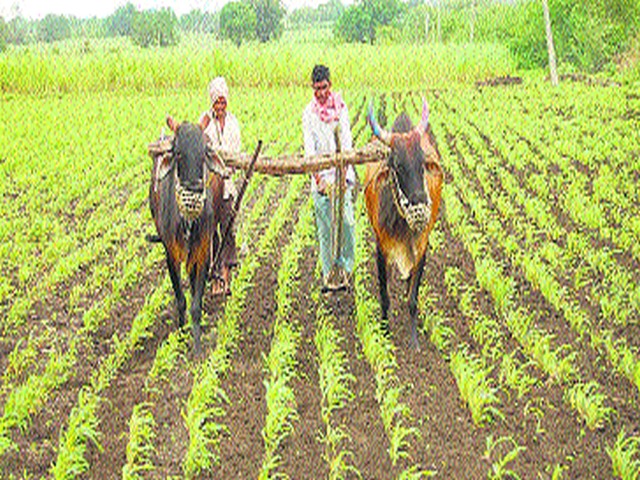 Seventy crores of benefits to farmers | शेतकऱ्यांना मिळणार सत्याहत्तर कोटींचा लाभ