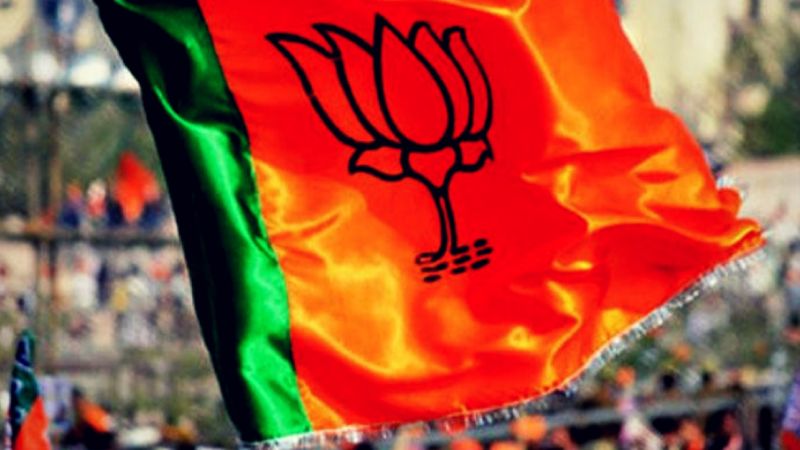 'Cluster' system for BJP in Lok Sabha | लोकसभेसाठी भाजपाकडून ‘क्लस्टर’ प्रणाली