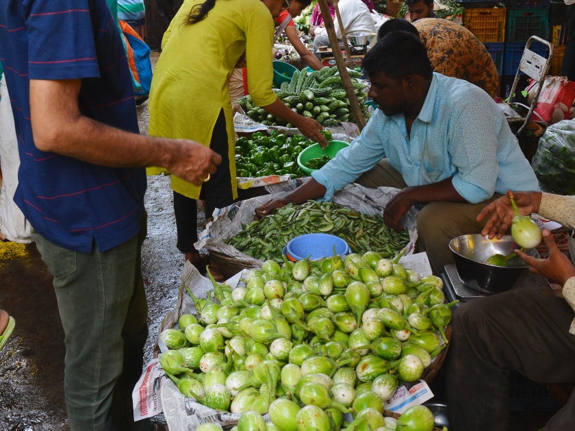 Fenugreek seeds, Cilantro: Hemp Cheap: Tomatoes Rs | मेथी, कोथिंबिरीचे ढीग: वांगी स्वस्त: टोमॅटो १५ रुपये किलो