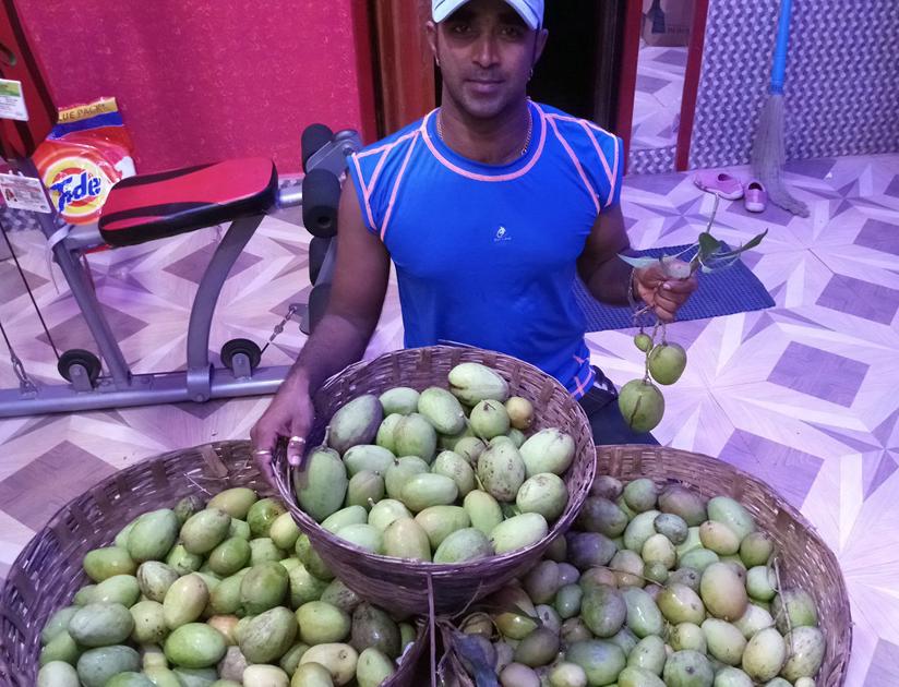 Before the end of the monsoon season mango in market | पावसाळा संपण्यापूर्वीच कैऱ्या बाजारात