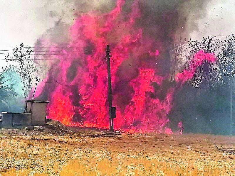 Fire at four villages in Tivasa taluka | तिवसा तालुक्यातील चार गावांना आगीचा वेढा