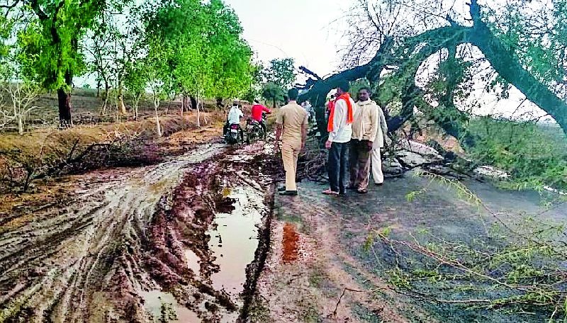 Due to the collapse of tree due to the storm, the Darayapur-Amravati route closed for three hours | वादळामुळे वृक्ष कोसळल्याने दर्यापूर-अमरावती मार्ग तीन तास बंद