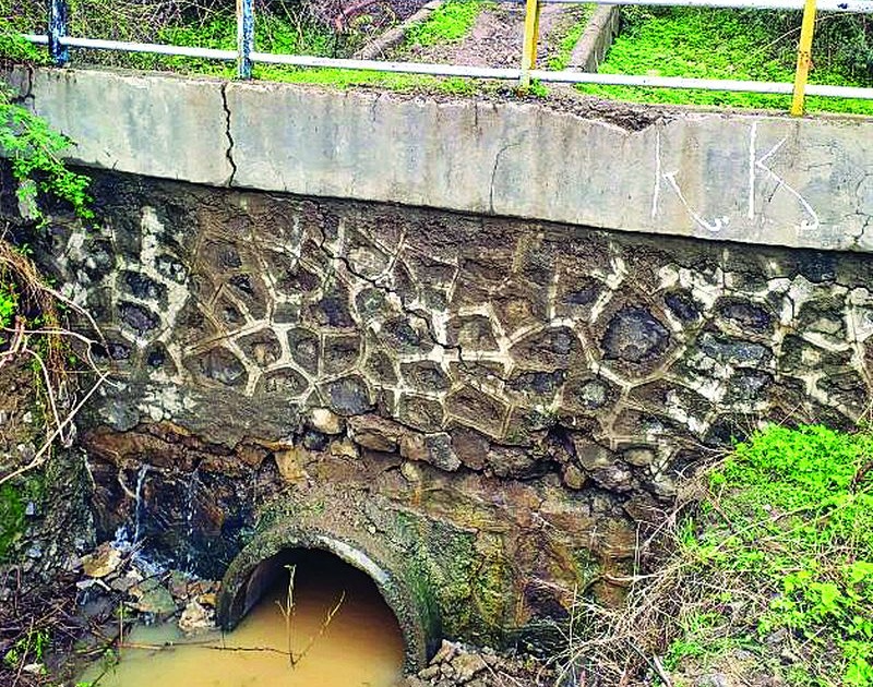 Padmavati, karadi dam leak | पद्मावती, करडी धरणाला गळती