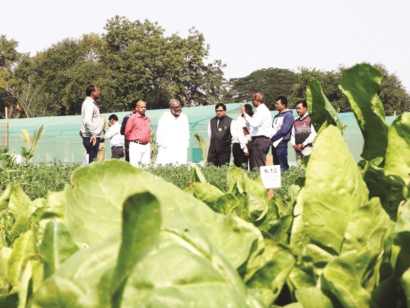 Pasha Patel took review of Dr. Panjabrao Deshmukh Agricultural University | पाशा पटेल यांनी घेतला डॉ. पंजाबराव देशमुख कृषी विद्यापीठाचा आढावा!