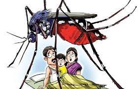 Dengue patients in Nandgaon city | नांदगाव शहरात डेंग्यूचे रुग्ण