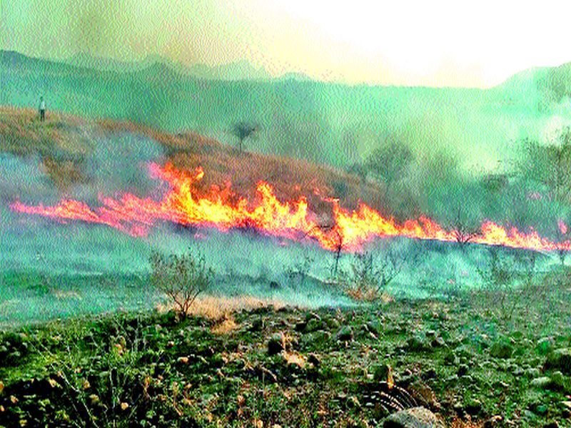 Fire damage to Dongraon forest: One in three hectare areas | डोंगरगावच्या वनराई डोंगराला आग नुकसान : अडीच ते तीन हेक्टर क्षेत्र खाक झाल्याचा अंदाज