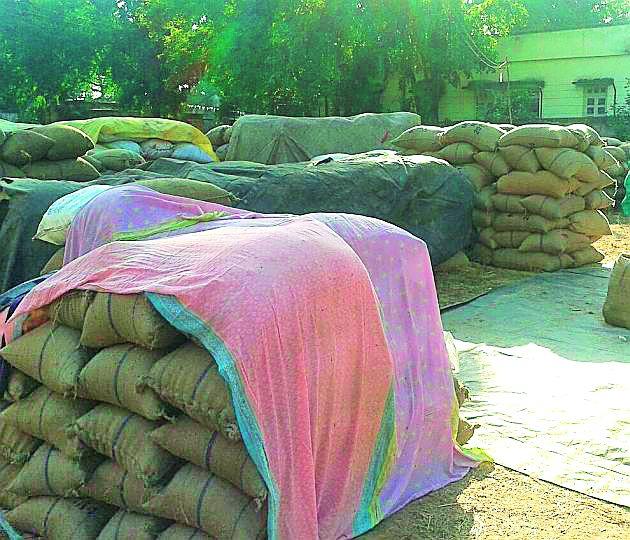 Decrease in purchasing of paddy in the district | जिल्ह्यात धान खरेदीत घट