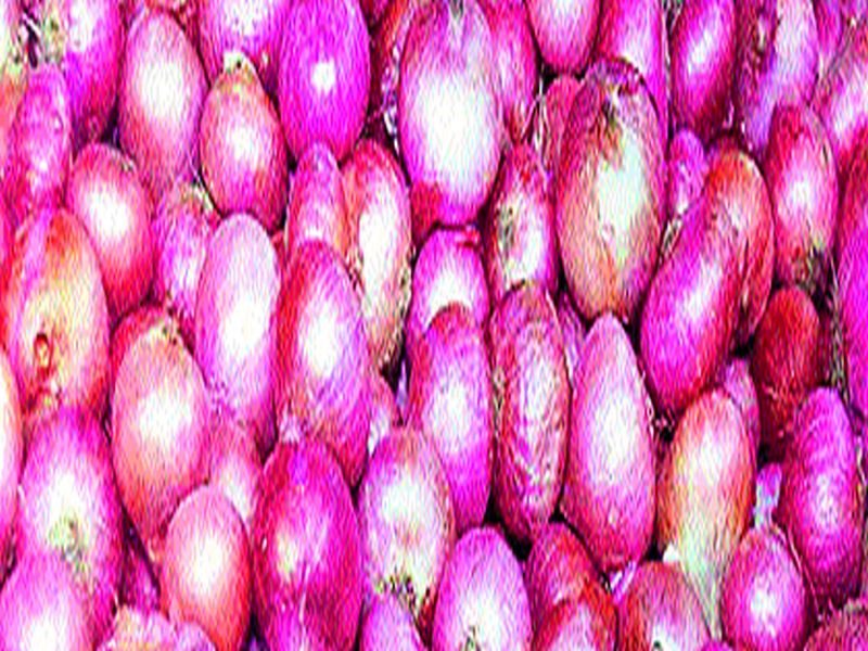 Onion production hovering due to slowdown in demand and shortage of large quantity of onion onion. | परदेशात कमी झालेली मागणी व रांगड्या कांद्याचे मोठ्या प्रमाणात झालेले उत्पादन भावातील घसरणीमुळे कांदा उत्पादक हवालदिल