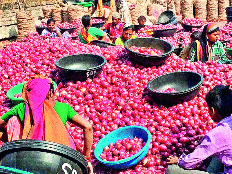 World Women's Day: 'Khetcha Bhaar' on 'Onion' in Khala! | जागतिक महिला दिन : ‘त्यांच्या’ गावीही नाही कांदा खळ्यावर ‘कष्टाची भाकर’!