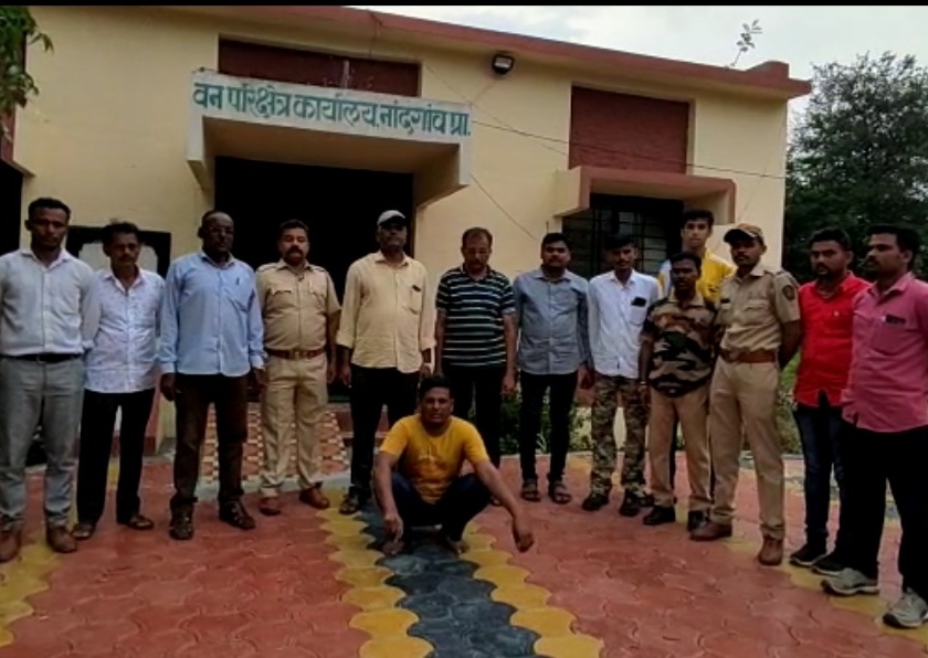Main suspect arrested in peacock poaching case | मोराच्या शिकारप्रकरणी मुख्य संशयितास अटक