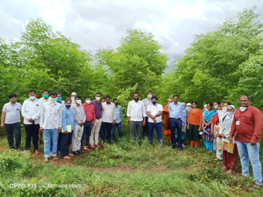 Krishi Sanjeevani Saptah celebrated on farmers' dam in Nandurshingote | नांदूरशिंगोटेत शेतकऱ्यांच्या बांधावर कृषी संजीवनी सप्ताह साजरा