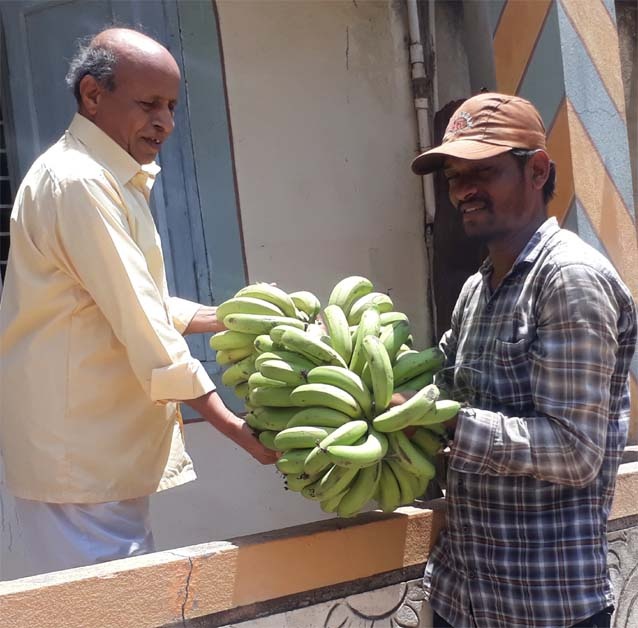 Distribution of bananas from the farmer at Prakash | प्रकाशा येथे शेतकऱ्याकडून केळीचे घड वाटप