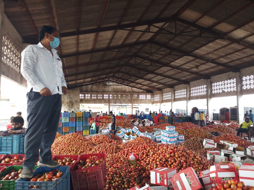In Nashik, pomegranate costs Rs. 10 per kg | नाशिकमध्ये डाळींब दहा रुपये किलो