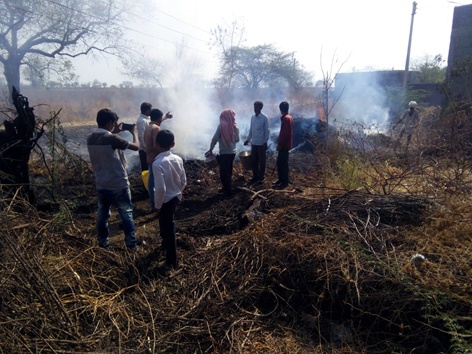 Parbhani: In the Narwadi kadab burnt khad | परभणी: नरवाडीत कडबा जळून खाक