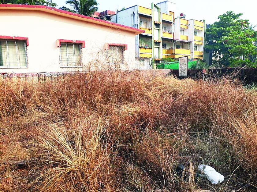 Ratnagiri: The work of senior citizens for Nana-Nani Park was completely stopped, is the park's meadow parked? | रत्नागिरी : ज्येष्ठ नागरिकांसाठीच्या नाना-नानी पार्कचे काम पूर्णत: थांबले, पार्क की गवताचे कुरण?