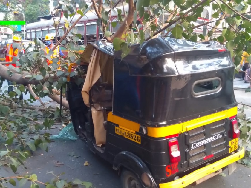 Shocking! A couple was injured when a tree branch fell on them in Thane | धक्कादायक! ठाण्यात झाडाची फांदी पडून दांम्पत्यासह चौघे जखमी