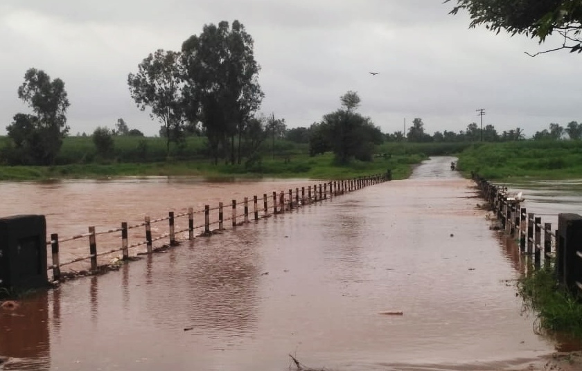 11.5 min in Shirala taluka. I Rainfall record | शिराळा तालुक्यात 11.5 मि. मी. पावसाची नोंद