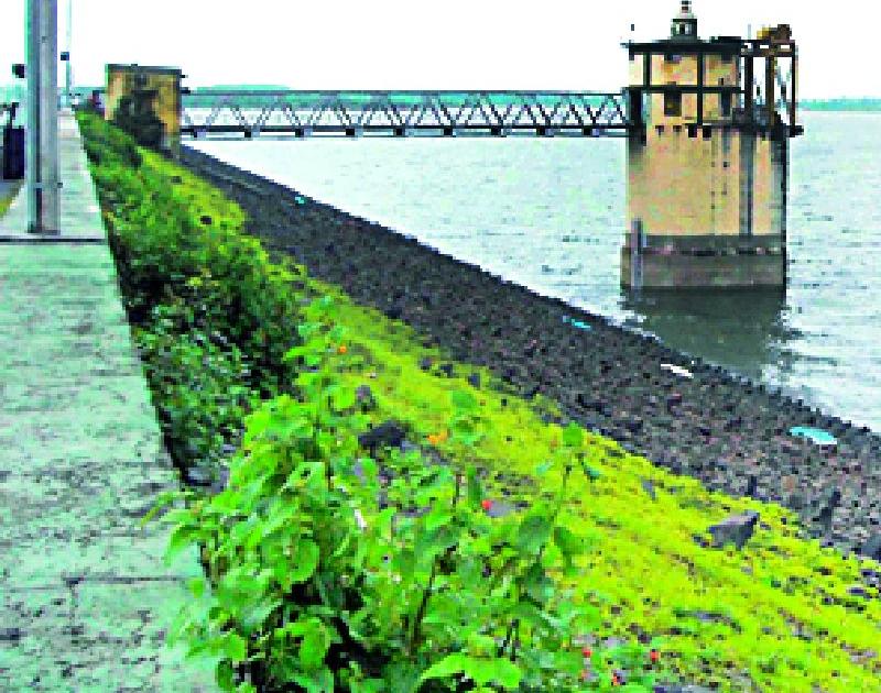 32 percent water stock in Isapur dam | इसापूर धरणात ३२ टक्के जलसाठा
