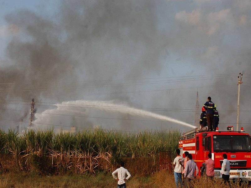 Shortcricket burns 6 units of sugarcane | शॉर्टसर्किटने ६ एकरातील ऊस जळाला