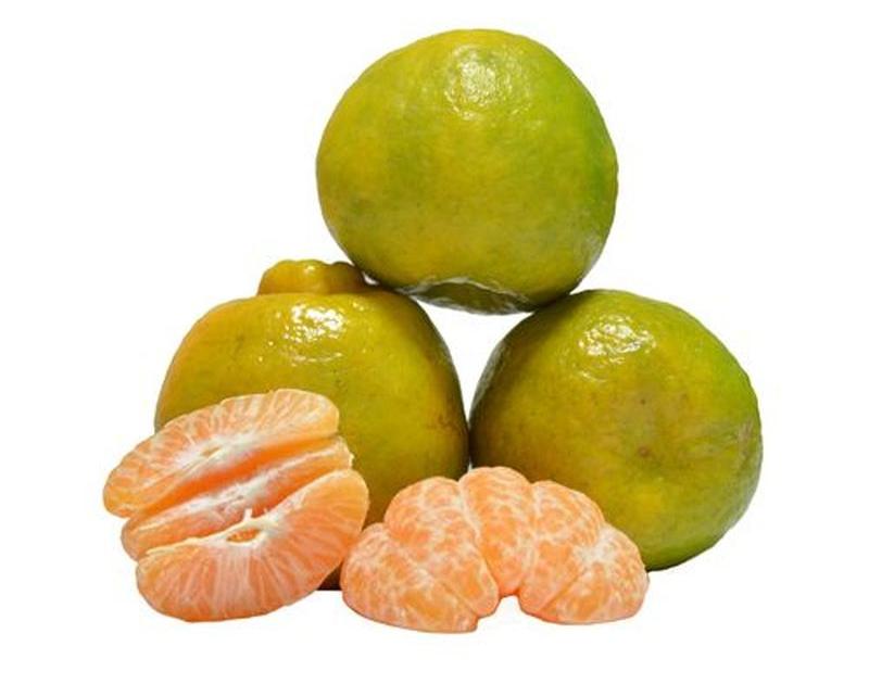 Nagpur oranges are now available on Nagpur airport | नागपूर विमानतळावर मिळणार नागपुरी संत्री