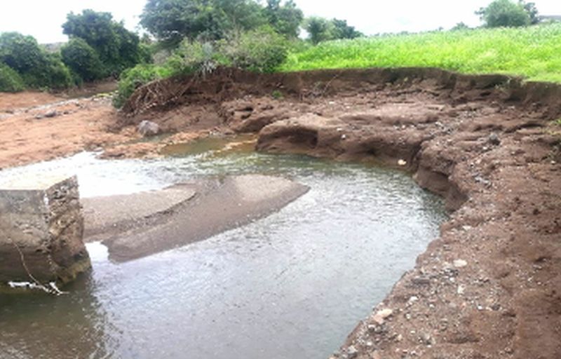 Heavy rains damaged houses, crops | दमदार पावसाने घरे, पिकांचे नुकसान