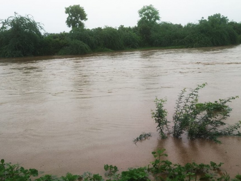 Heavy rains in Akola; River, flood to rivers, crops under water | अकोल्यात संततधार पाऊस;  नदी, नाल्यांना पूर,  पिके पाण्याखाली