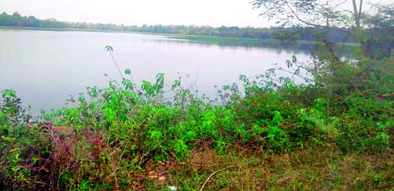 After 40 years, Rampuri reservoir is neglected | ४० वर्षानंतरही रामपुरी जलाशय दुर्लक्षित