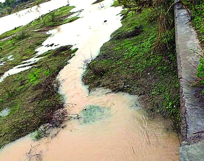 leakage from Padmavati, Karadi Dam; The Security Committee will conduct the survey | पद्मावती, करडी धरणातून गळती; सुरक्षा समिती करणार पाहणी