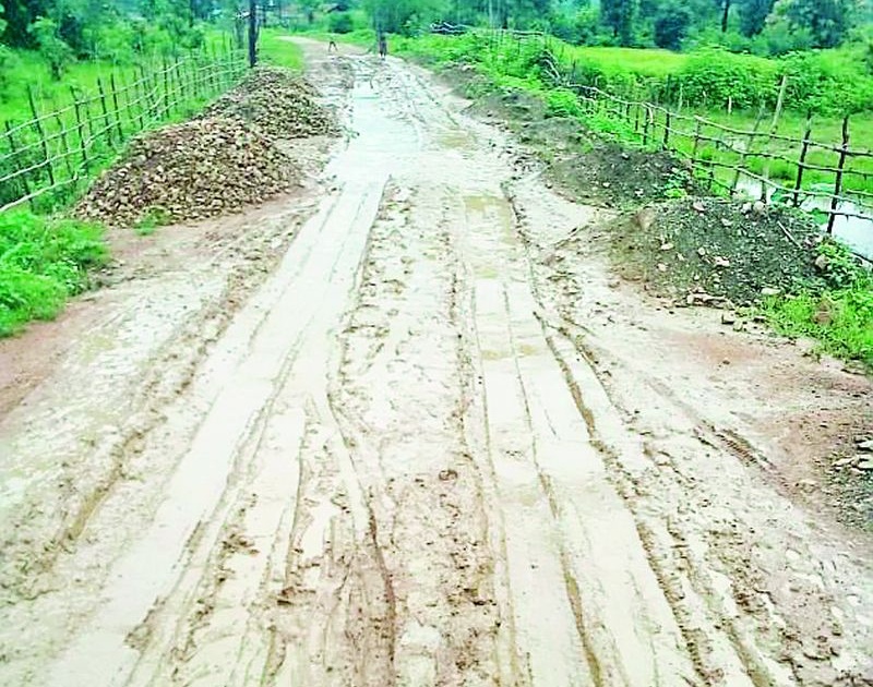 Roads in Suryapalli area are muddy | सूर्यापल्ली भागातील रस्ते चिखलमय