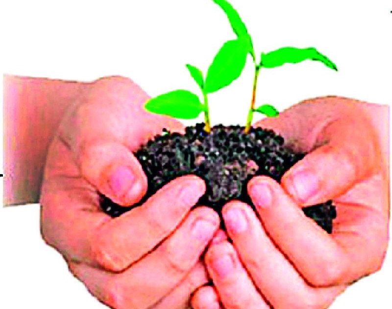G.P. To plant six lakh saplings | ग्रा.पं. करणार सहा लाख रोपट्यांची लागवड