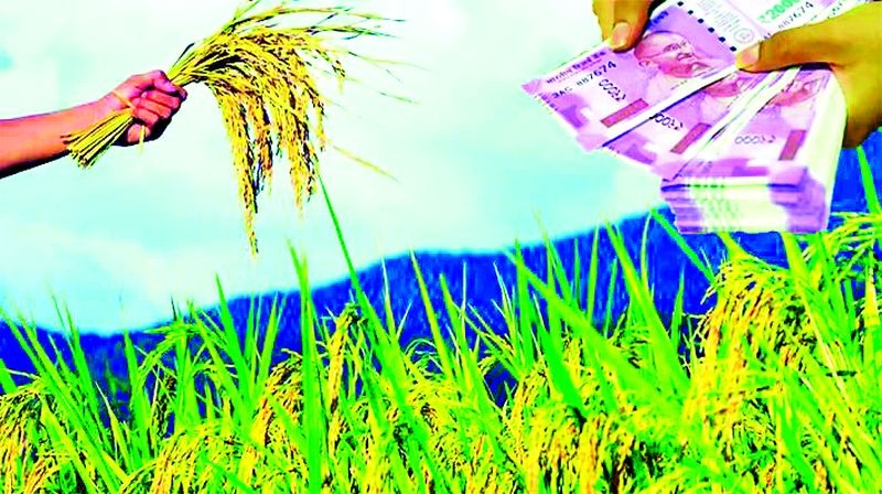Back to crop insurance for non-receipt of kharif losses | खरीपातील नुकसान भरपाई न मिळाल्याने पीक विम्याकडे पाठ