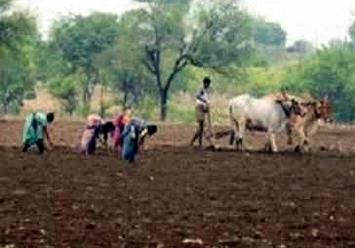 Parbhani: Farmers busy in sowing season | परभणी : पेरणीपूर्व मशागतीत शेतकरी व्यस्त