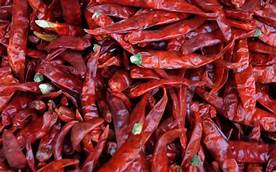 nashik,red,pepper,is,hitting,customers | लाल मिरचीचा ग्राहकांना बसतोय तिखट झटका