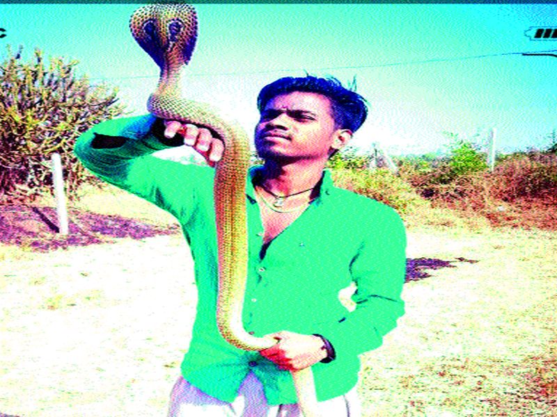 Sapatitra's death by snake charming in Toulosi | तळोशी येथील सर्पमित्राचा सर्पदंशाने मृत्यू