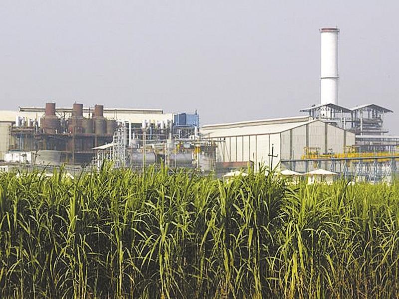 Tanpure sugar factory to start on October 15; Hints from MP Vikhe | तनपुरे साखर कारखाना १५ आॅक्टोबरला सुरू होणार; खासदार विखे यांचे संकेत