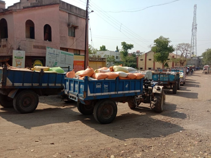 Queues of vehicles for counting maize in Bhadgaon Shetkari Sangh | भडगाव शेतकरी संघात मका मोजणीसाठी वाहनांच्या रांगा