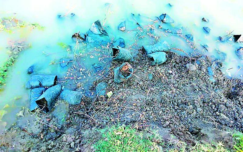 Hundreds of plantation plants dissolved in the lake | वृक्षारोपणाची शेकडो रोपे तलावात विसर्जित