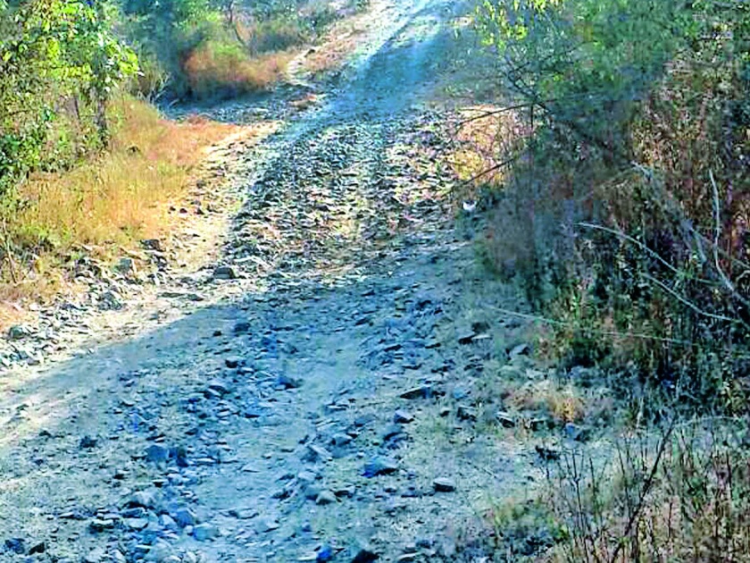 Dangers of Chinchandamand-Mahadpeth Road | चिंचमंडळ-महादापेठ रस्त्याची दुरावस्था