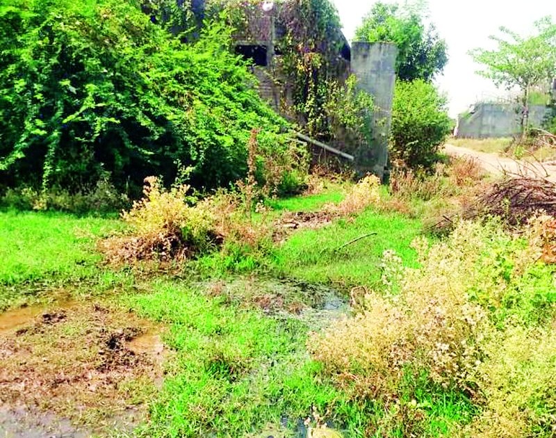 Lack of civic amenities in Pusad | पुसदमध्ये नागरी सुविधांचा अभाव