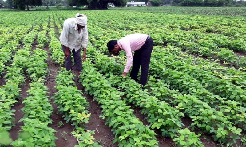 farming is in danger due to companies | कोरोनात वाचलेली शेती कंपन्यामुळे धोक्यात