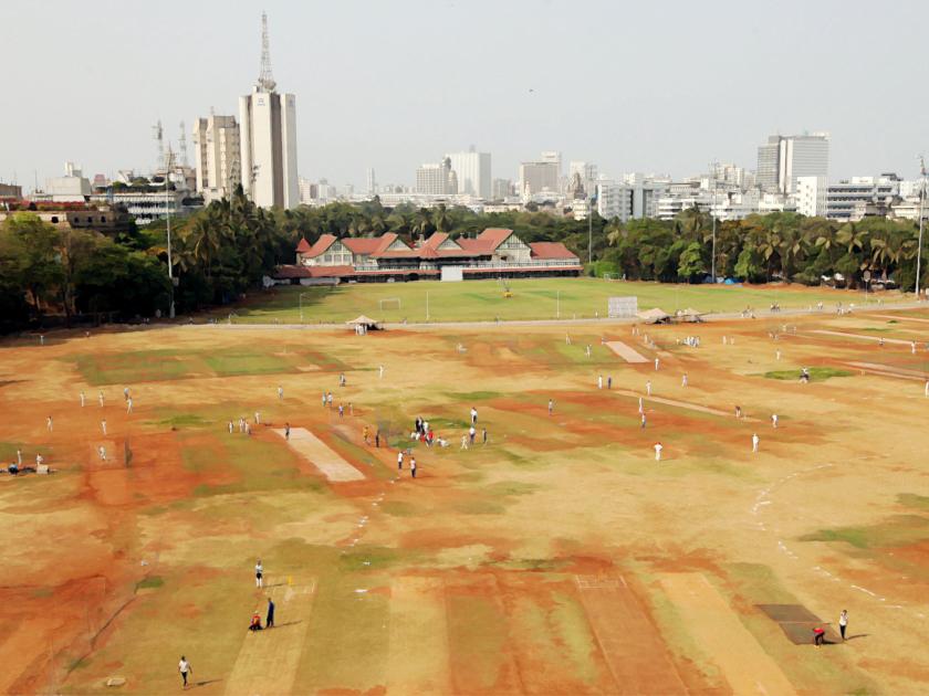 People's call for gardens, gardens in Mumbai | मुंबईतील मैदान, उद्यानांसाठी घेणार जनतेचा कौल