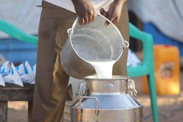 Andhra, Tamil Nadu has the highest milk prices; Maharashtra's milk team lags behind in giving good rates | आंध्र, तामिळनाडूत दूधाला सर्वाधिक दर; चांगला दर देण्यात महाराष्ट्रातील दूध संघ मागे
