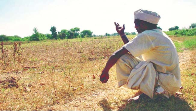 Nine crores of crop insurance credited to farmers' accounts; Agriculture Department information | शेतकऱ्यांच्या खात्यात पीकविम्याचे नऊ कोटी जमा; कृषी विभागाची माहिती